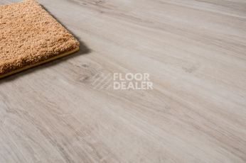 IVC Primero (DryBack) IVC Primero 24137Q фото 8 | FLOORDEALER